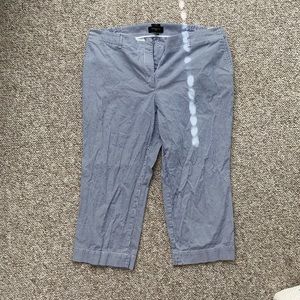 PLUS Size Talbots Crop Pant-18W